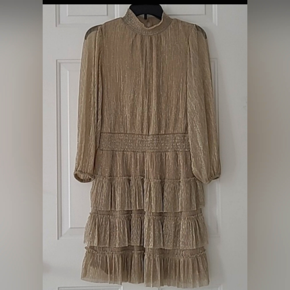Sam & Jess Metallic Tierred & Flare, Long Sheer Sleeves